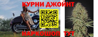 эйфоретик Моздок