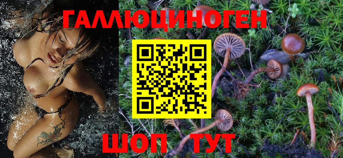 Псилоцибиновые грибы Cubensis  купить   Зеленокумск  Вход с VPN 